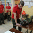 Состоялся районный финал  военно-спортивной игры «Зарница» - Суздаль-Медиа