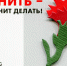 Каждый житель Владимирской области может стать участником  акции «Красная гвоздика» и помочь ветеранам - Суздаль-Медиа